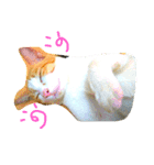 cat malee（個別スタンプ：3）