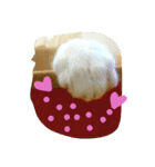 cat malee（個別スタンプ：4）