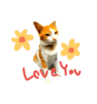 cat malee（個別スタンプ：6）