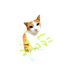 cat malee（個別スタンプ：10）