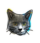 cat malee（個別スタンプ：16）