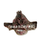 挨拶のお魚さん（個別スタンプ：1）
