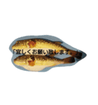挨拶のお魚さん（個別スタンプ：5）