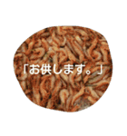 挨拶のお魚さん（個別スタンプ：6）