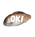 挨拶のお魚さん（個別スタンプ：11）