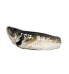 挨拶のお魚さん（個別スタンプ：14）