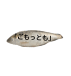 挨拶のお魚さん（個別スタンプ：15）