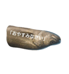 挨拶のお魚さん（個別スタンプ：16）
