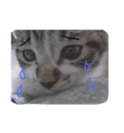 kirin cat（個別スタンプ：2）
