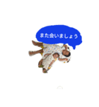 もとといく（個別スタンプ：2）