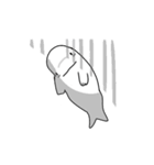 Simple Beluga（個別スタンプ：15）
