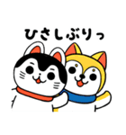 ねこじゃなくて「いぬはりこ」（個別スタンプ：15）