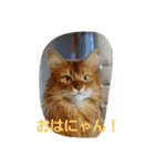 くるん.2.（個別スタンプ：6）