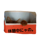 くるん.2.（個別スタンプ：7）