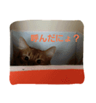 くるん.2.（個別スタンプ：8）
