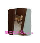 くるん.2.（個別スタンプ：11）