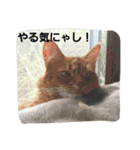 くるん.2.（個別スタンプ：14）