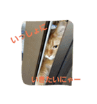 くるん.2.（個別スタンプ：22）