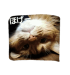 くるん.2.（個別スタンプ：23）