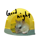 mouse.PaoPao（個別スタンプ：5）