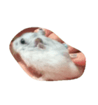 mouse.PaoPao（個別スタンプ：6）