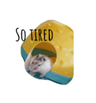 mouse.PaoPao（個別スタンプ：8）