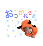 Tsuuuuchan（個別スタンプ：7）