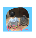 ペットのスタンプ集（個別スタンプ：7）