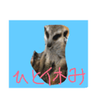 ペットのスタンプ集（個別スタンプ：31）