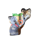 柴犬まめとの暮らし（個別スタンプ：4）