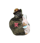 ブリティッシュショートヘアのこあらちゃん（個別スタンプ：7）