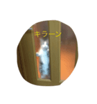 ネコっちゃん（個別スタンプ：5）