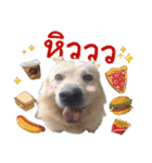 BoBo Dog Cute（個別スタンプ：22）