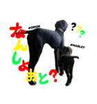 MARLEY #RAGGAE ver.2（個別スタンプ：2）