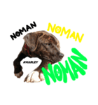 MARLEY #RAGGAE ver.2（個別スタンプ：5）