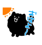 黒ぽめ（個別スタンプ：1）