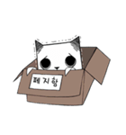 Paper cat, kari (kor)（個別スタンプ：1）