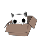 Paper cat, kari（個別スタンプ：1）