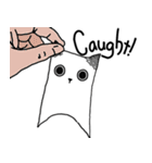 Paper cat, kari（個別スタンプ：6）