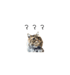 ふなとのみーちゃん（個別スタンプ：10）
