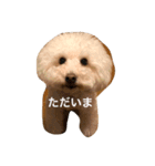 ぱぴぷーちゃん（個別スタンプ：4）
