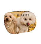 ぱぴぷーちゃん（個別スタンプ：7）