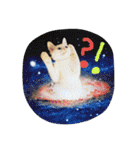 猫のちくわ家族たち。（個別スタンプ：2）