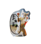 猫のちくわ家族たち。（個別スタンプ：8）