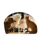 猫のちくわ家族たち。（個別スタンプ：9）