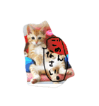 猫のちくわ家族たち。（個別スタンプ：15）