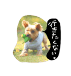 猫のちくわ家族たち。（個別スタンプ：26）