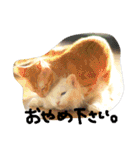 猫のちくわ家族たち。（個別スタンプ：29）