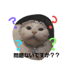 猫のちくわ家族たち。（個別スタンプ：32）