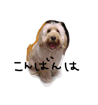 むーむちゃん（個別スタンプ：13）